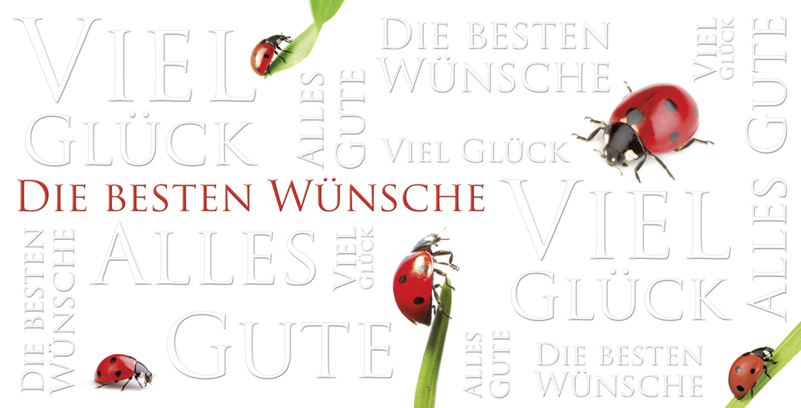 PC-Glückwunschkarte 1320602