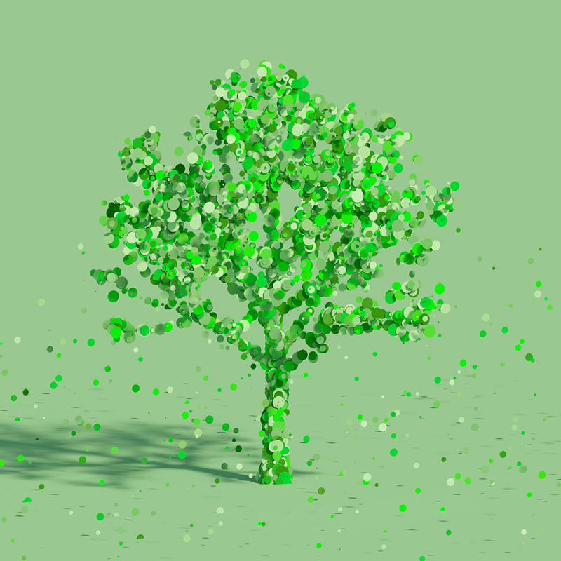 FSC Garantie Baum aus grünen Pflanzen