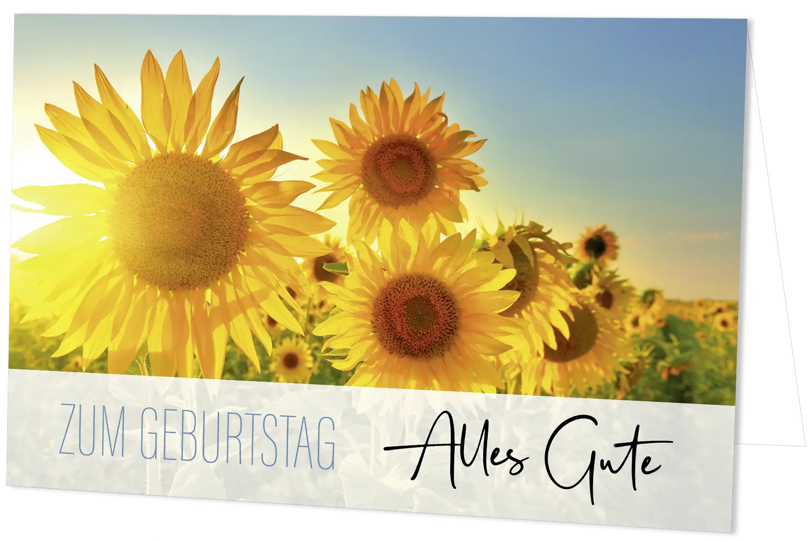 Geburtstagskarte 1525144
